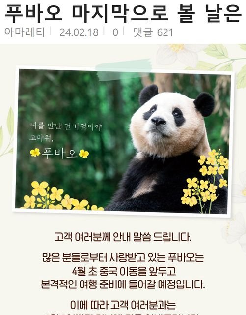 428622874 799004648936275 8168845073503699162 n.jpg?resize=412,232 - 에버랜드에서 푸바오 마지막으로 볼 수 있는 날
