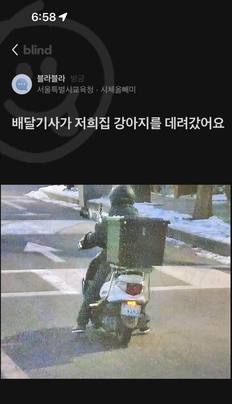 4 1 2.jpeg?resize=1200,630 - 배달기사가 우리 개를 잡아갔어요