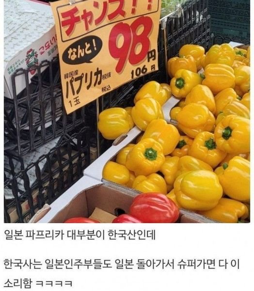 5 13.jpg?resize=1200,630 - 한국 유통구조가 이상하다고 느낀 이유 …