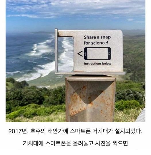 8 13.jpg?resize=412,232 - 호주 해안가에 설치된 스마트폰 거치대의 비밀ㄷㄷㄷ