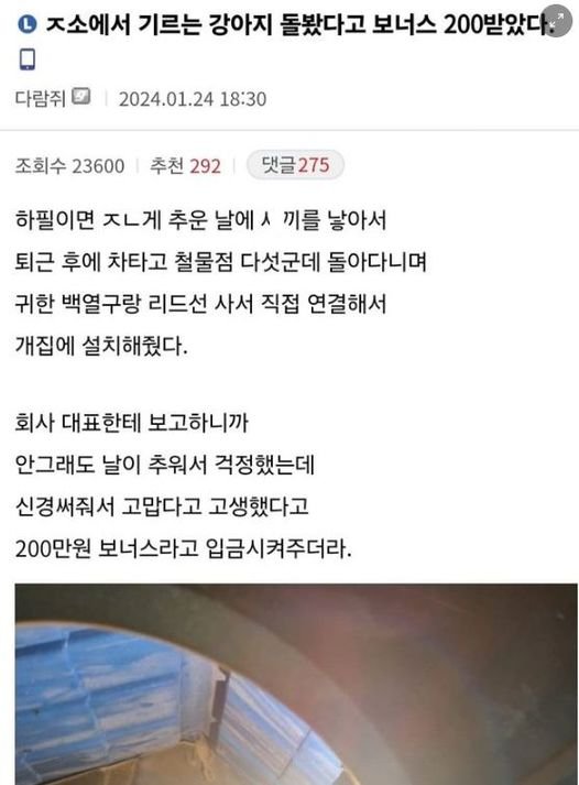 8.jpg?resize=1200,630 - ㅈ소에서-기르는-강아지-돌봤다고-보너스-200받았다-jpg