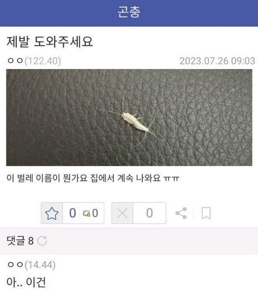 eab3a4ecb6a9.jpg?resize=412,232 - 평화로운 곤충갤러리.jpg