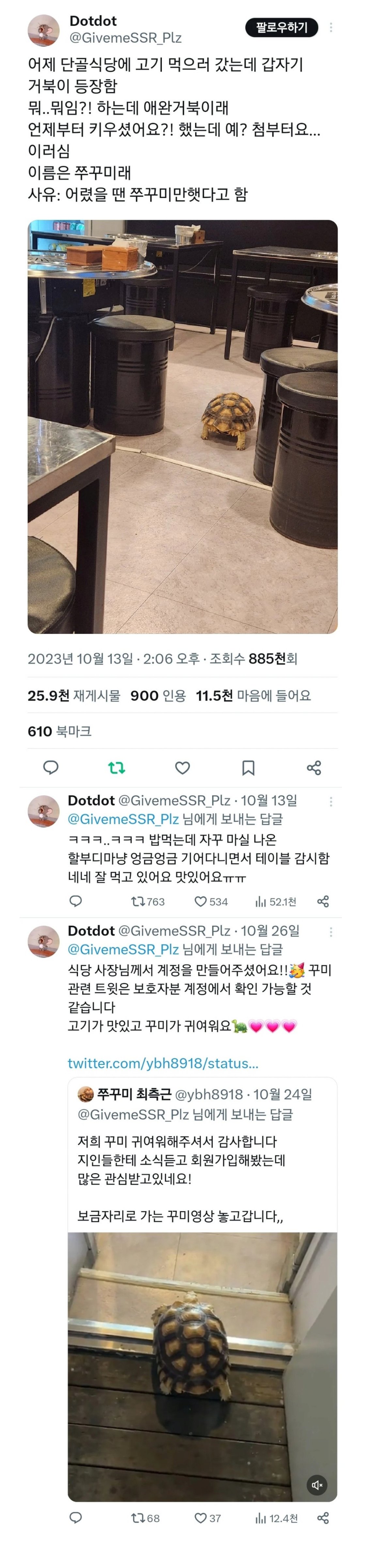 image.png 단골식당에 고기 먹으러 갔는데 갑자기 거북이 등장함.JPG