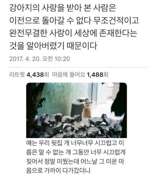 2 1.jpg?resize=412,275 - 강아지에게 받는 완전 무결한 사랑