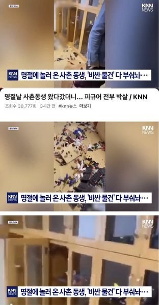 6 8.jpg?resize=1200,630 - 사촌형 피규어 박살냈다가 3500만원 합의