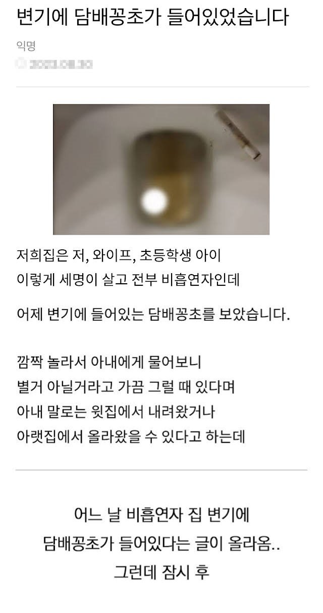 7 7.jpg?resize=1200,630 - 비흡연자 집 화장실 변기에서 나온 담배꽁초 