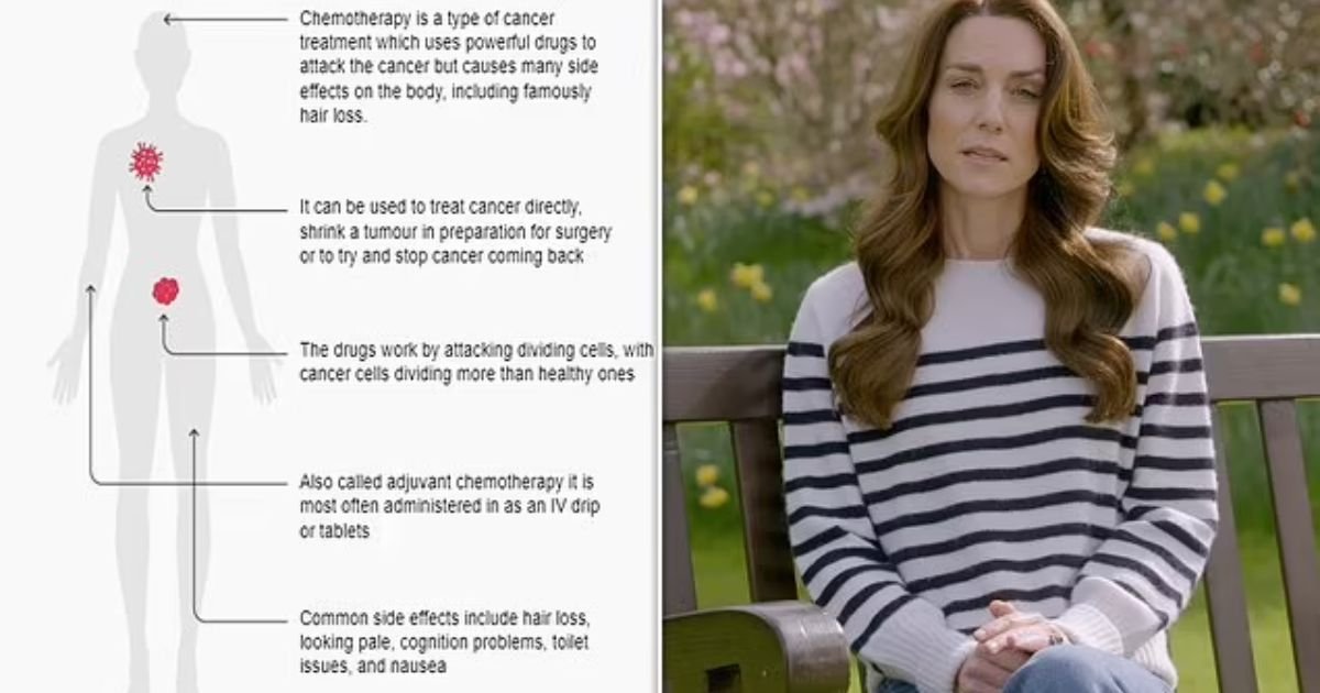 copy of articles thumbnail 1200 x 630 5 8.jpg?resize=412,232 - What's Next For Princess Kate? The Royal's Cancer Recovery & Side-Effects Of Intense Therapy Unveiled