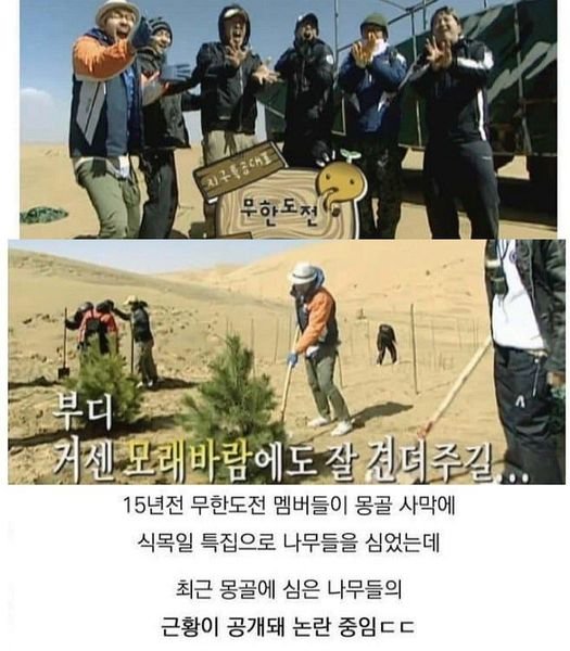 ebaabdeab3a8.jpg?resize=412,275 - 15년 전 무한도전이 몽골에 심은 나무 ㄷㄷ