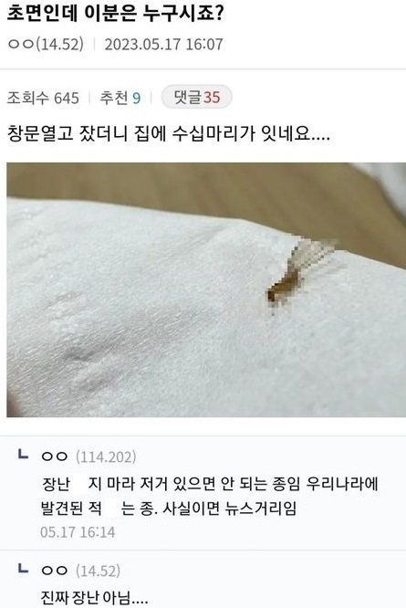 ed9884ec9eac.jpg?resize=412,232 - 현재 뒤ㅈ어진 디ㅅ 곤ㅊ갤러리 근황 ㄷㄷ