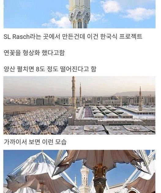 1 9.jpg?resize=1200,630 - 사우디에서 간지나게 더위 피하는 방법