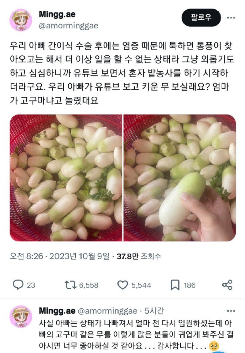 01.jpg