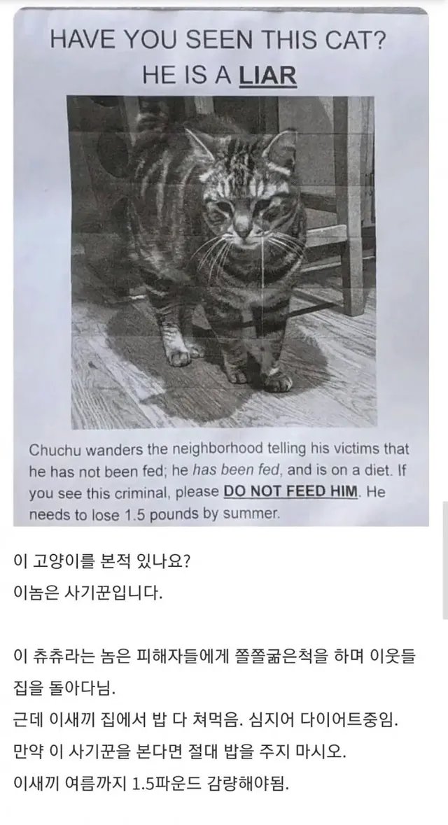 사기꾼 고양이를 찾습니다 | mbong.kr 엠봉
