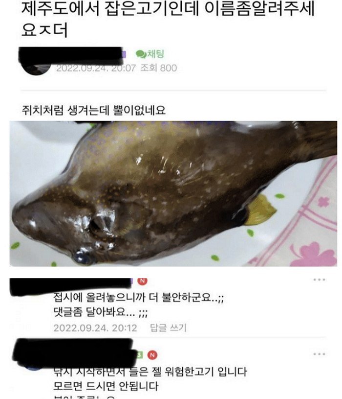 3.jpeg?resize=412,275 - 낚시초보자가 잡아 온 고기때문에 난리났었던 어느 낚시카페‥