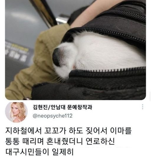 7 1.jpg?resize=412,232 - 지하철에서 자꾸 짖는 강아지