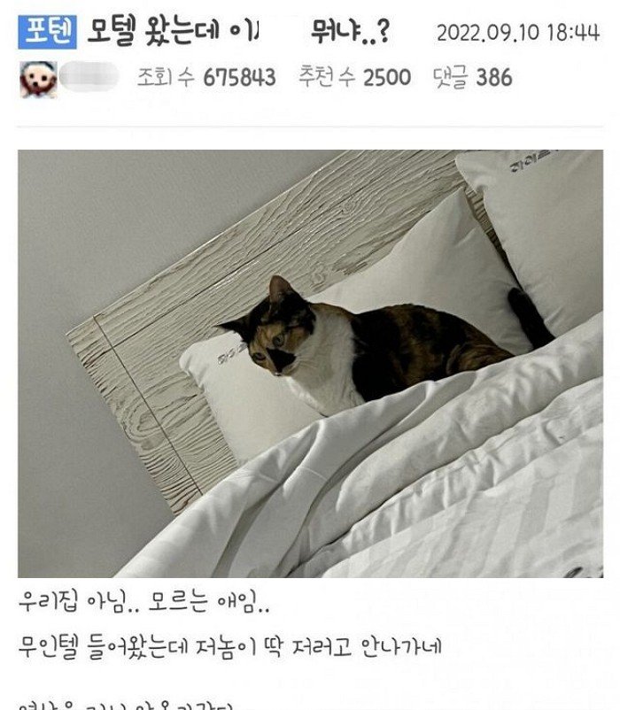 8 2.jpeg?resize=412,275 - 의외로 무인텔에 비치되어 있는 것 …