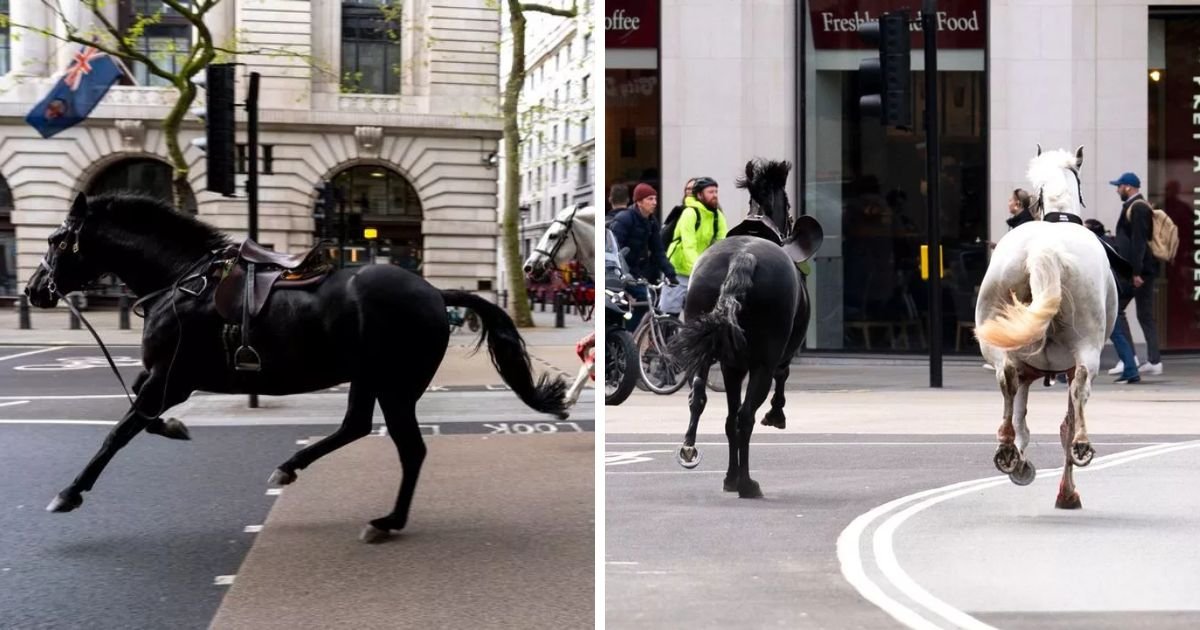 copy of articles thumbnail 1200 x 630 1 28.jpg?resize=1200,630 - Four HOSPITALIZED As Five Escaped Cavalry Horses From Buckingham Palace Run Loose On London’s Streets