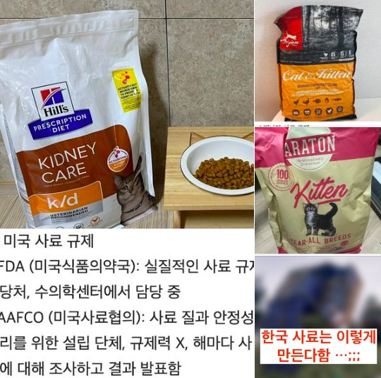 ec82aceba38c.png?resize=412,232 - 견주,집사들은 절대 모르는 개 고양이 사료의 진실