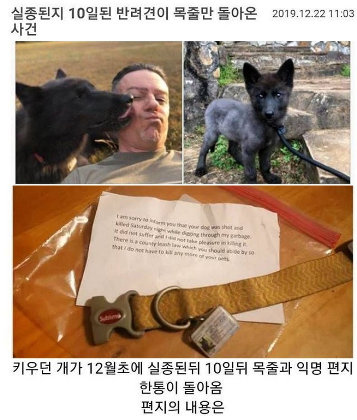 1 7.jpeg?resize=412,232 - 실종 후 열흘만에 목줄만 돌아온 반려견..