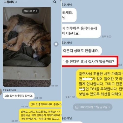 4 3.png?resize=412,232 - 디스패치에 뜬 수의사와 강형욱 카톡내용