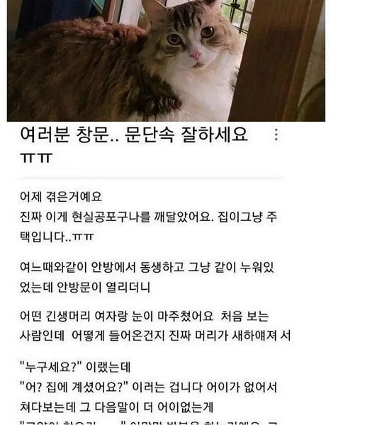 5 14.jpg?resize=412,232 - 남의 집 고양이 훔쳐가려한 캣맘 …