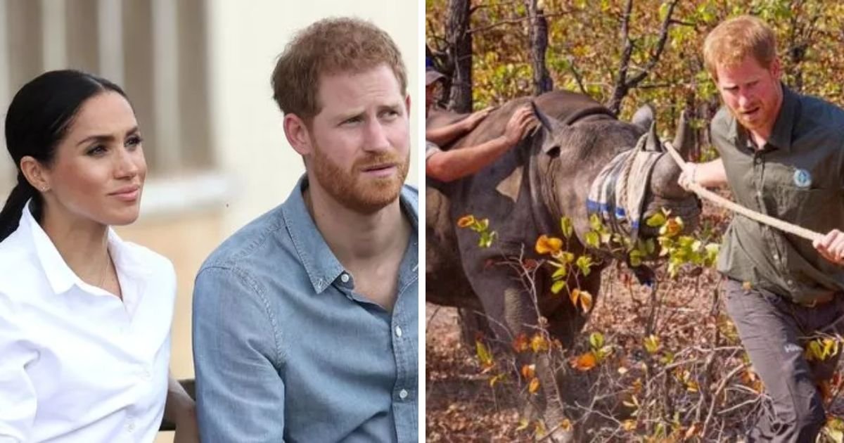 copy of articles thumbnail 1200 x 630 1 6.jpg?resize=412,275 - "What A Hypocrite!"- Prince Harry SLAMMED For Traveling To Nigeria With Meghan Markle Despite Red Travel Alert