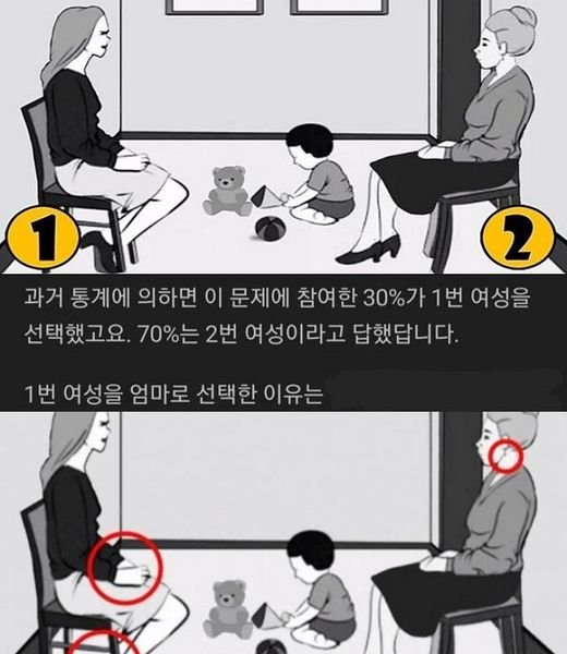 eab8b0.jpg?resize=412,275 - FBI 기출문제 : 누가 찐 엄마일까?