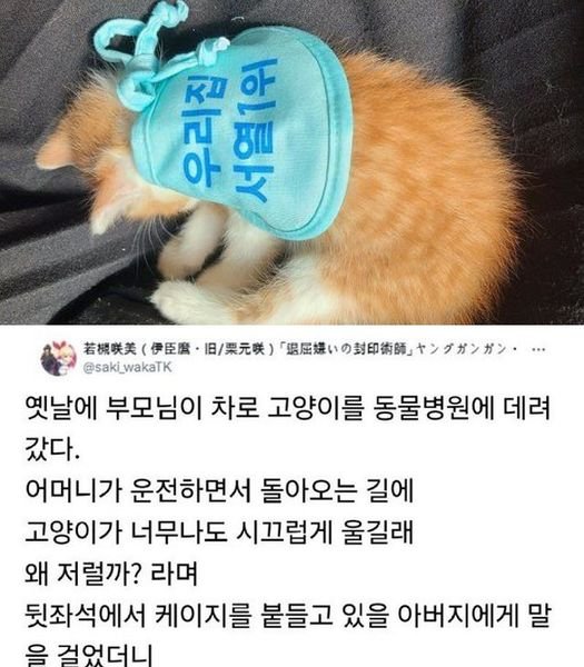 eca791.jpg?resize=412,275 - 집안 서열ㄷㄷ