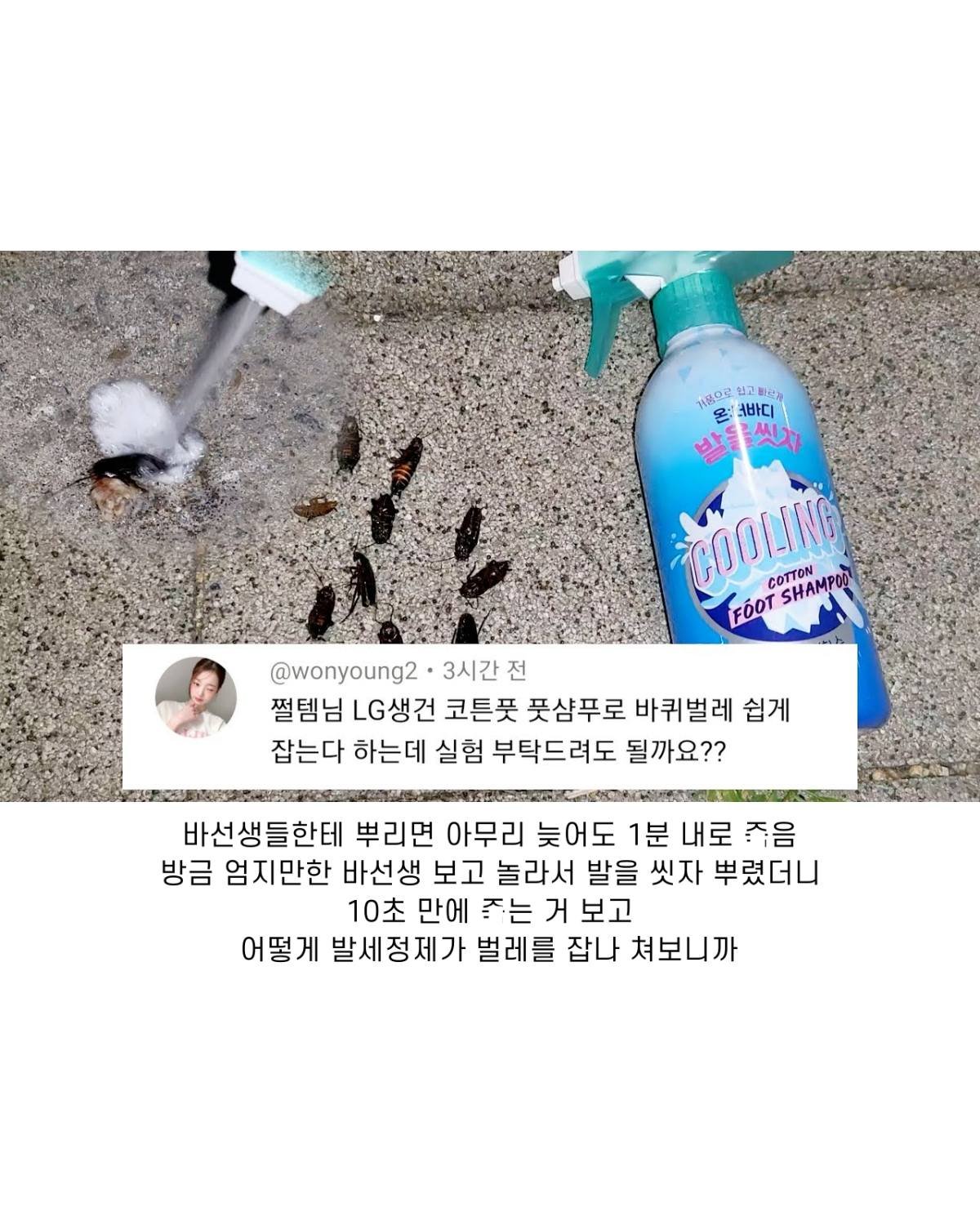 사람 1명, 카스티야 비누, 헤어 제품 및 텍스트의 이미지일 수 있음