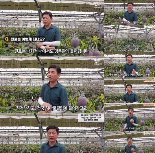 20240602131437.png?resize=412,275 - 과일 유통구조 비판하는 애플망고 사장님 ㄷㄷ