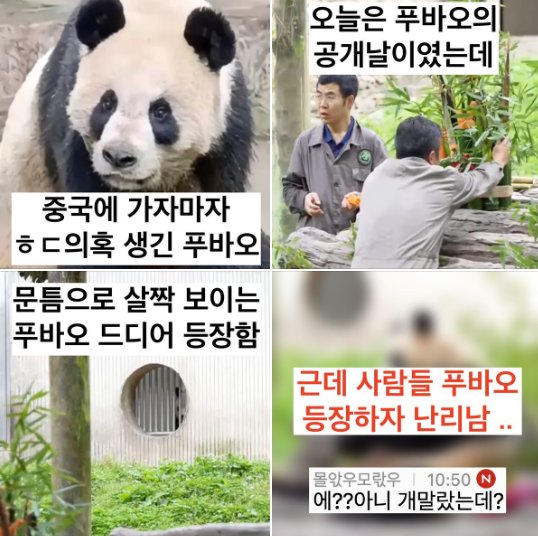 20240612222248.png?resize=1200,630 - 지난 4월에 중국 갔던 푸바오 중국이 오늘 공식 공개함 ㄷㄷ