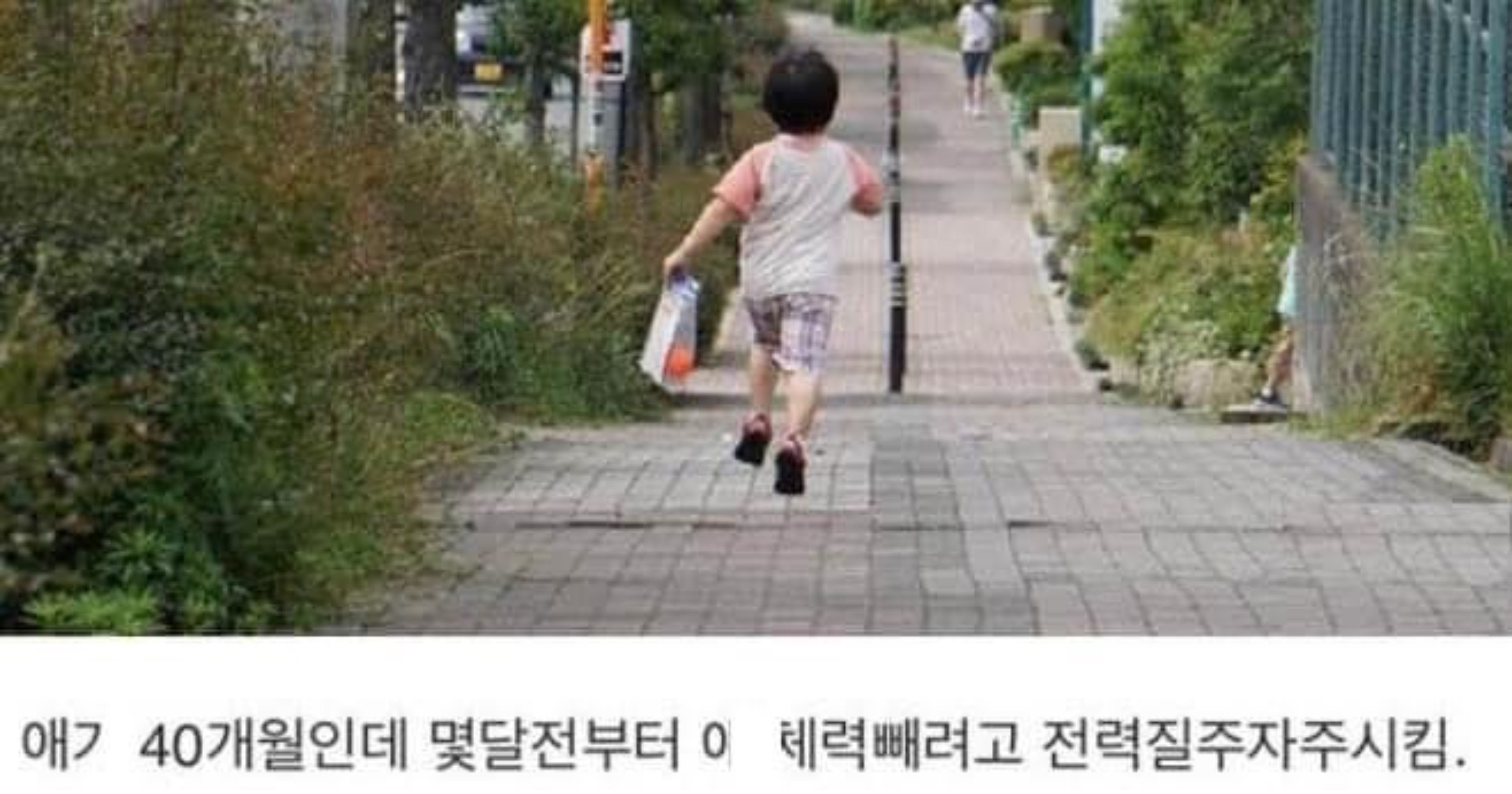 2e3d1407 0078 4d79 95b7 5735022b7668.jpeg?resize=412,232 - 애 기운을 뺄려고 매일 달리기를 시킨 결과..ㄷㄷ