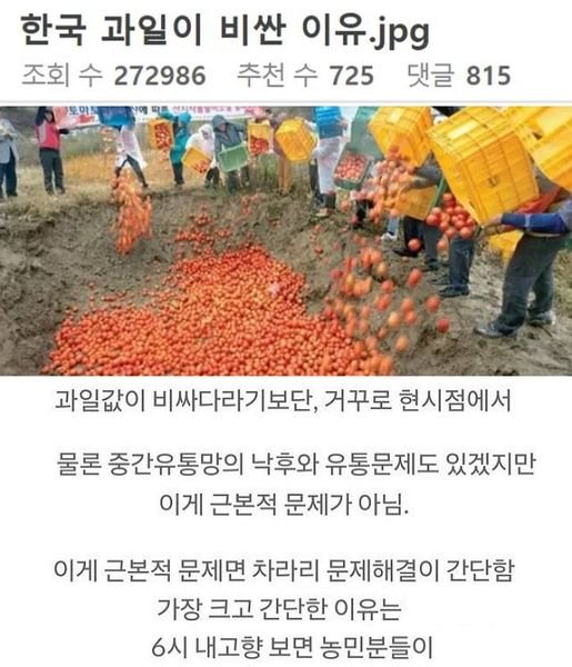 6 19.jpg?resize=1200,630 - 한국 과일이 비싼 이유