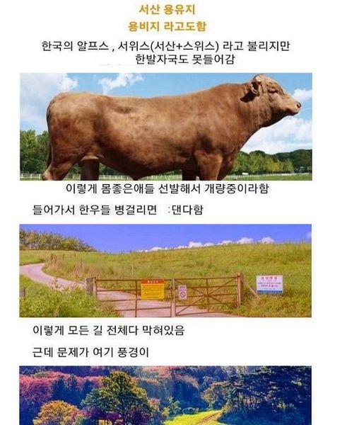 6.jpg?resize=412,232 - 한국의 알프스라 불리지만 들어갈 수 없는 곳 …