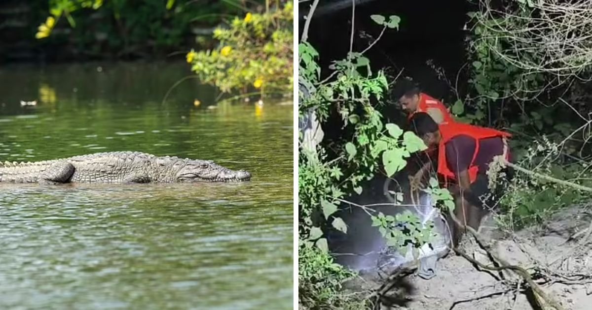 copy of articles thumbnail 1200 x 630 2.jpg?resize=412,275 - 6-Year-Old Boy THROWN Into 'Crocodile-Infested' River By His Own Mother