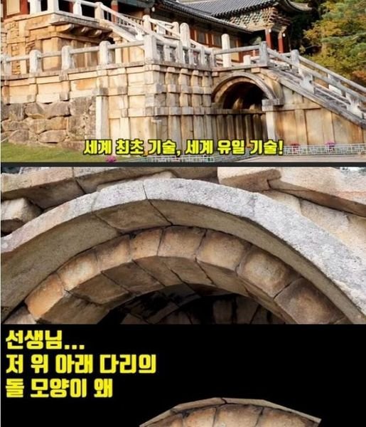 ed98b8.jpg?resize=412,275 - 한 초등학생의 호기심 때문에 발견된 것 ㄷㄷ