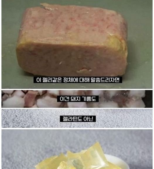 1 8.jpg?resize=412,232 - 스팸에 항상 붙어있던 젤리 같은 것의 충격 정체