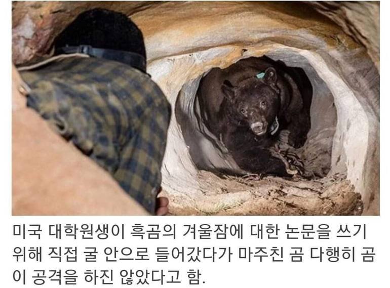 미국 대학원생 레전드.jpg