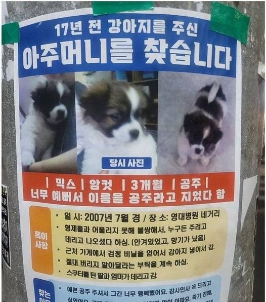 441295728 862279175927492 1601532003206043015 n.jpg?resize=1200,630 - 아빠가 88년생이라 연세가 많으신데..