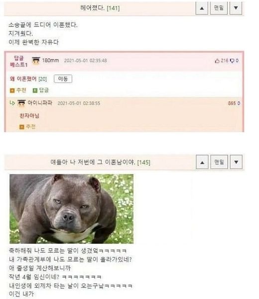 449435567 492854239922412 7881556462391002201 n.jpg?resize=412,275 - 이혼 사유 올타임 레전드 ㄷㄷㄷ