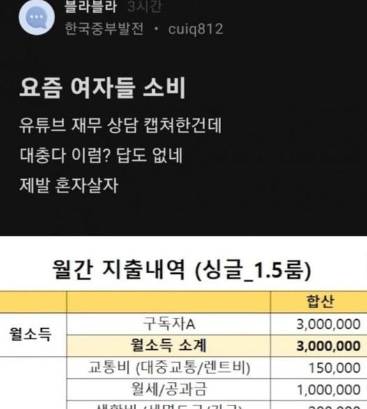 5 1.jpg?resize=1200,630 - 300 버는 여자의 레전드 소비내역