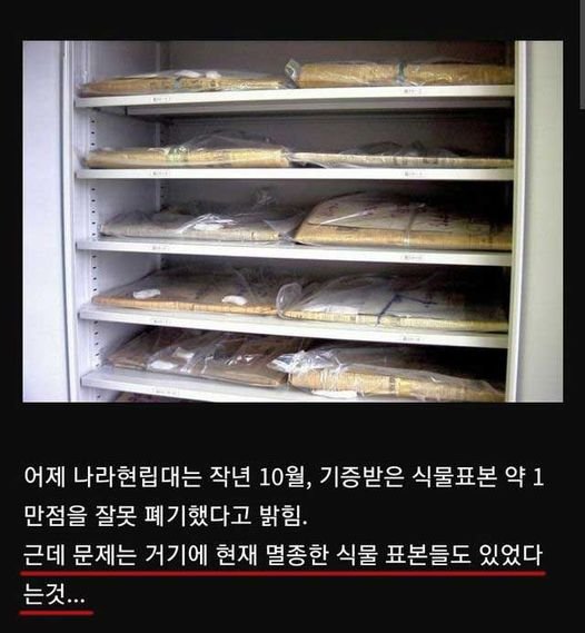 5 25.jpg?resize=1200,630 - 멸종한 식물 표본도 폐기해버려서 난리난 일본의 대학교