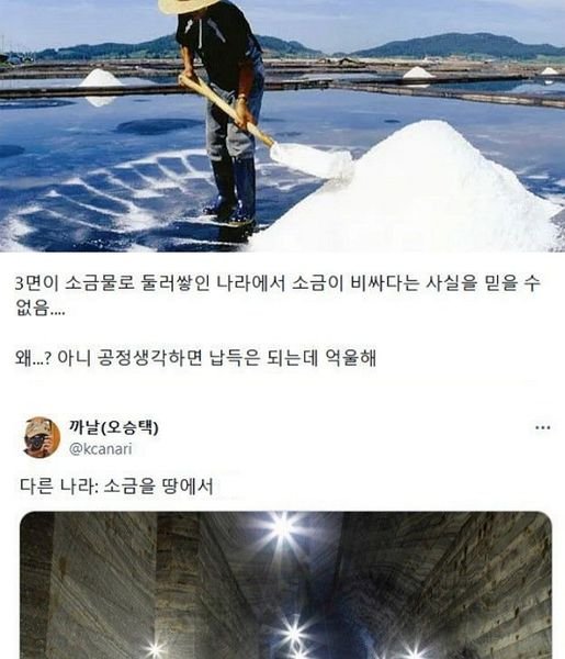 6 1.jpg?resize=412,232 - 한국은 소금이 비싸다 -> 해외가 더 싼 이유