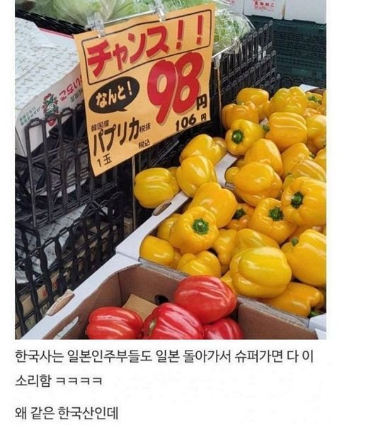 7 1.jpg?resize=1200,630 - 한국 유통구조가 이상하다고 느낀 이유