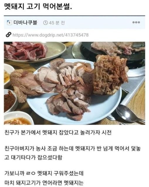 8 6.jpg?resize=1200,630 - 태어나서 처음으로 멧돼지 고기 먹어본 썰