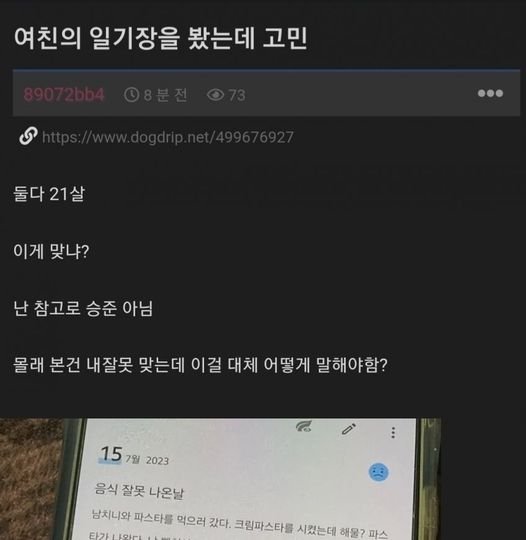 9 17.jpg?resize=1200,630 - 여친의 일기장을 보고 혼란에 빠진 남자 ㄷㄷ