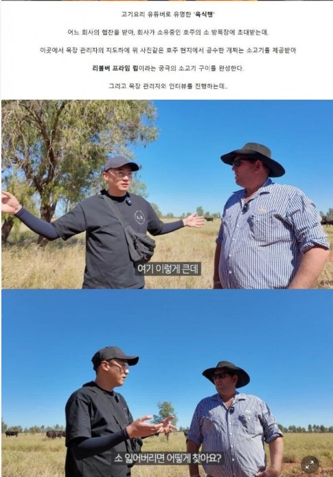 1 10.png?resize=1200,630 - 호주산 소고기가 저렴한 이유