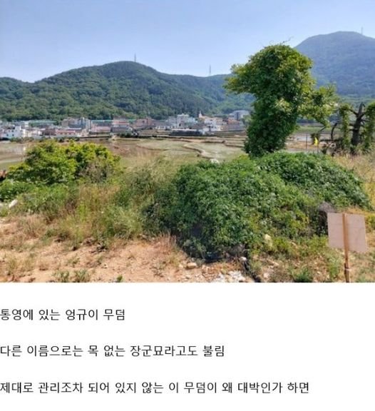 2 19.jpg?resize=1200,630 - 발굴하기만 하면 대박일 가능성이 높다는 한국 무덤