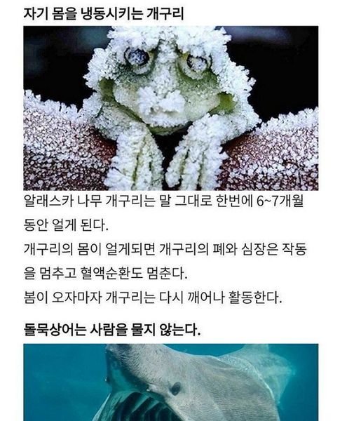 3 2.jpg?resize=1200,630 - 동물들의 신기한 능력과 몰랐던 사실들....ㄷㄷ