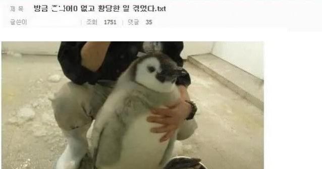 314c7c07 ed24 438d 9e74 bfbd5ebf75d4.jpeg?resize=412,275 - 아저씨라고 불러서 기분이 상ㅎ던 디씨인.jpg