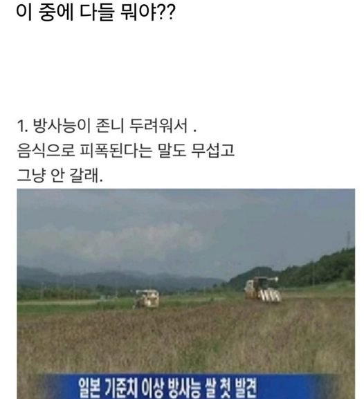 6 7.jpg?resize=1200,630 - 일본 여행 절대 안 가는 사람들의 유형